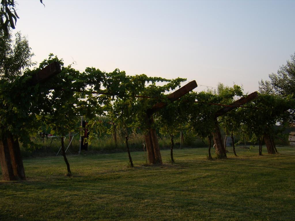 Гостевой дом Antico Casale Dei Sogni Agriturismo Луго Экстерьер фото