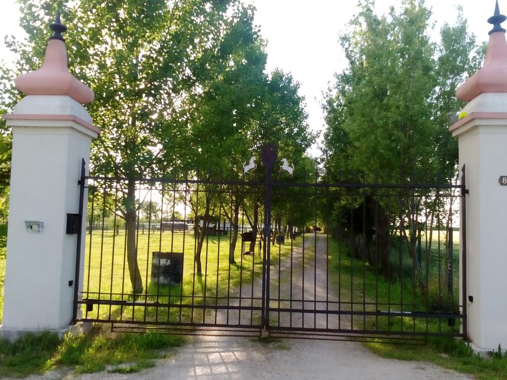 Antico Casale Dei Sogni Agriturismo Луго Экстерьер фото