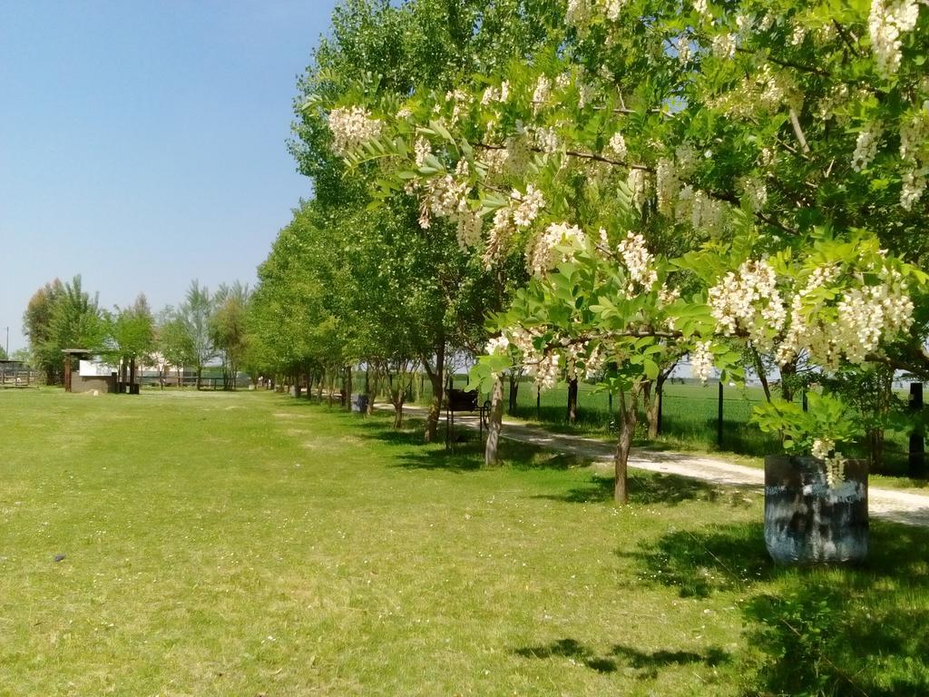 Antico Casale Dei Sogni Agriturismo Луго Экстерьер фото