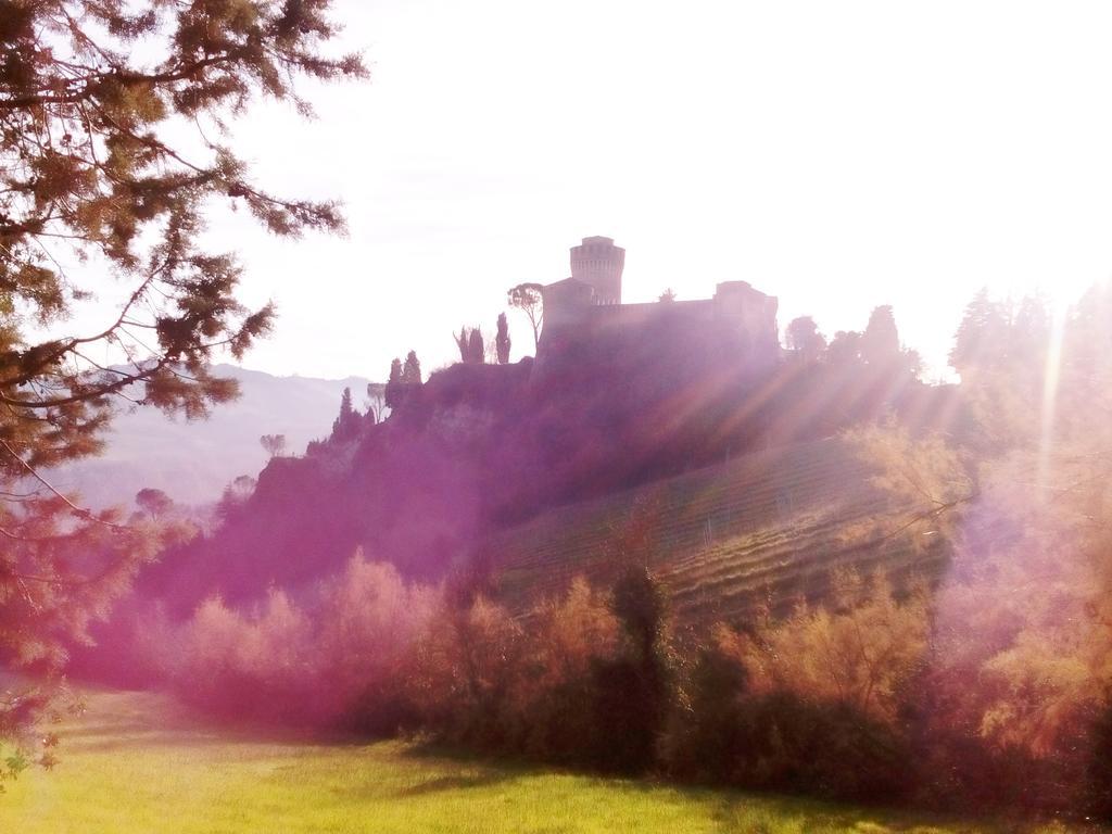 Гостевой дом Antico Casale Dei Sogni Agriturismo Луго Экстерьер фото