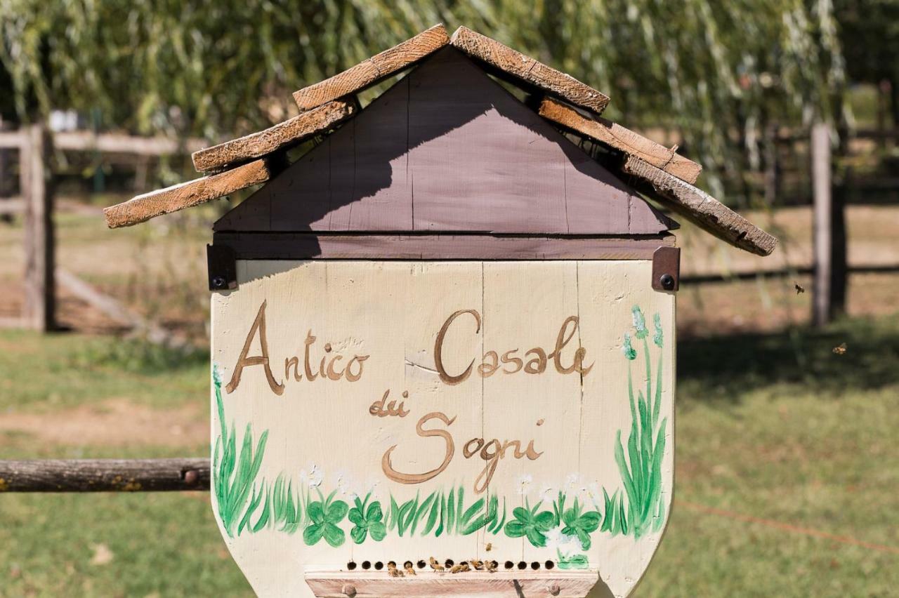 Гостевой дом Antico Casale Dei Sogni Agriturismo Луго Экстерьер фото